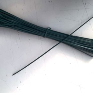 Araminho verde (25 cm) - 50 unidades