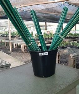 Estaca de bambu revestida (20 unidades)