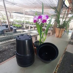 Vaso de plástico preto (19 cm de boca x 16,5 cm de altura) - kit com 10