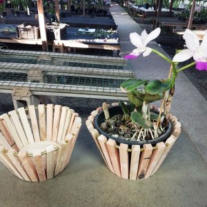 Cachepot de madeira de mesa grande