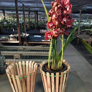 Cachepot de madeira para cymbidium