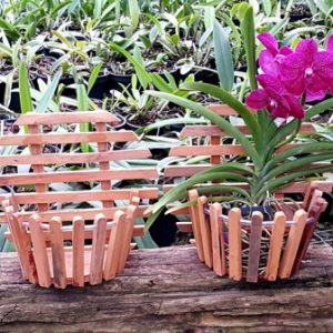 Cachepot de madeira (24 cm de boca) - parede