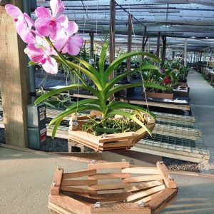 Cachepot de madeira jangada grande