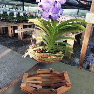 Cachepot de madeira jangada pequena