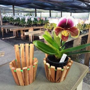 Cachepot de madeira de parede pequeno