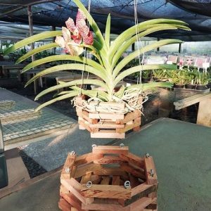 Cachepot de madeira sextavado