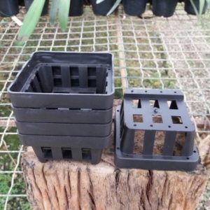 Cestinhas quadradas de plástico para Vandas - kit com 5