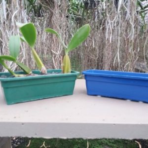 Jardineira 15 x 7 x 6