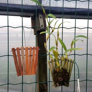 Placa de madeira pequena tipo leque