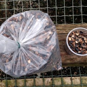 Substrato - cascas de macadâmia e carvão (3,5 kg)