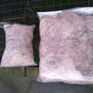 Substrato - esfagno (musgo) - 250g