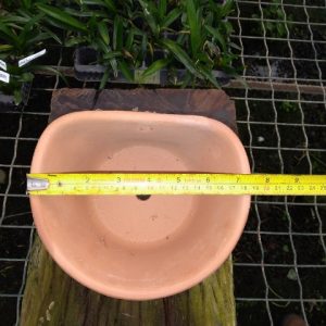 Vaso de parede liso (18 cm de boca x 10 cm de altura)