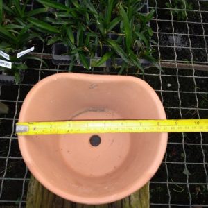 Vaso de parede liso (21 cm de boca x 11,5 cm de altura)