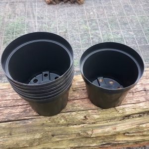 Vaso de plástico preto (15,5 cm de boca x 13,5 cm de altura) - kit com 10