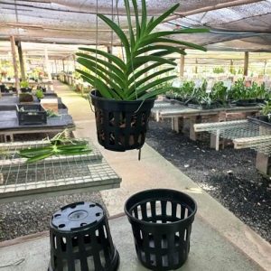 Cestas redondas de plástico vazadas - kit com 5