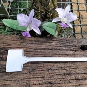 Etiqueta de identificação branca quadrada média (26cm)-10 unidades