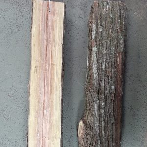 Sansão do campo cortado