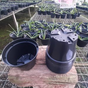 Vaso de plástico preto (14 cm de boca x 10,5 cm de altura) - Kit com 10