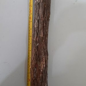 Sansão do campo inteiro