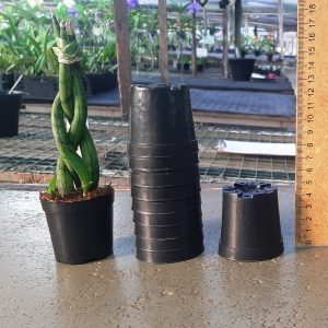 Vaso de plástico preto (5,5 cm de boca x 5 cm de altura) - kit com 10